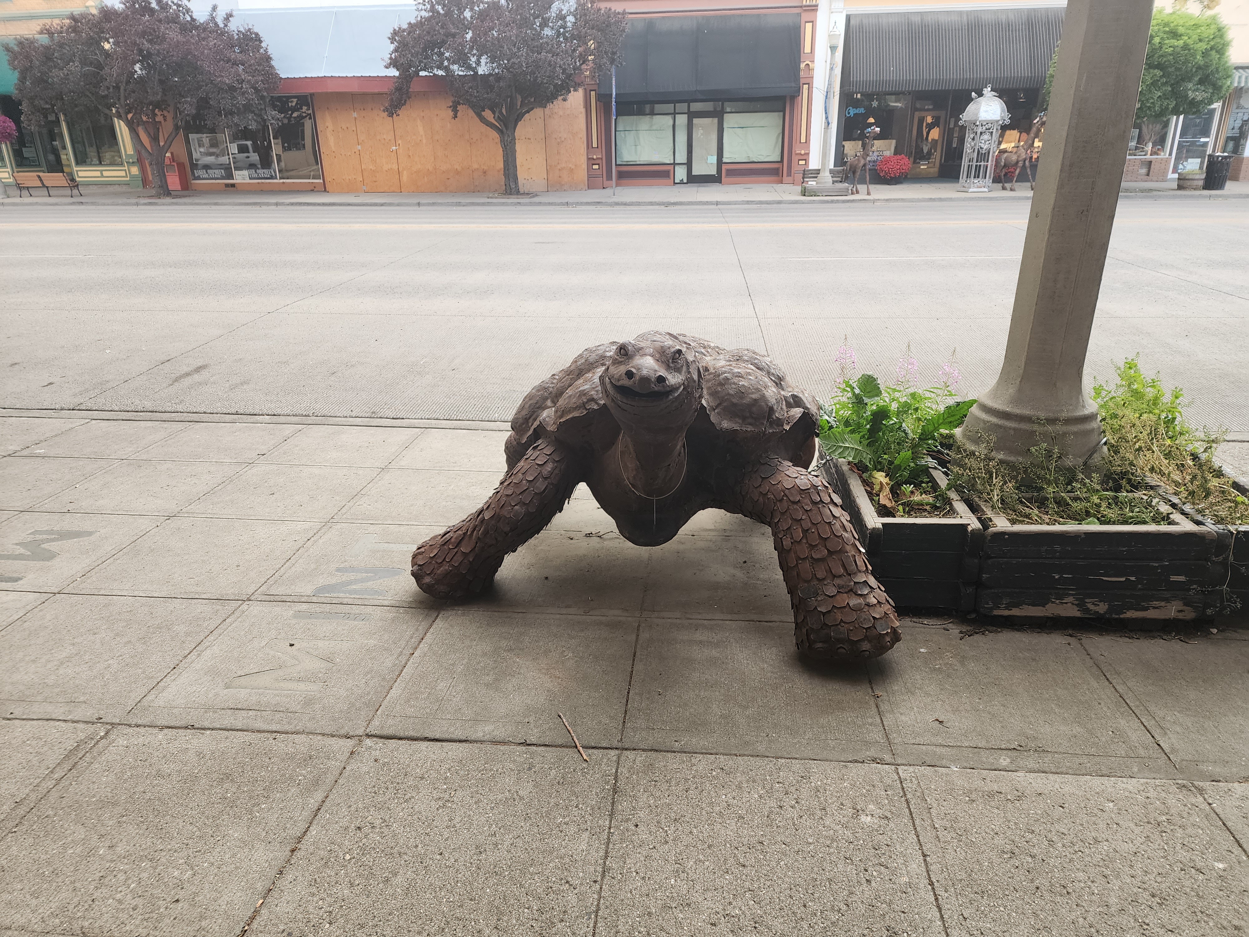 A smiling turtle