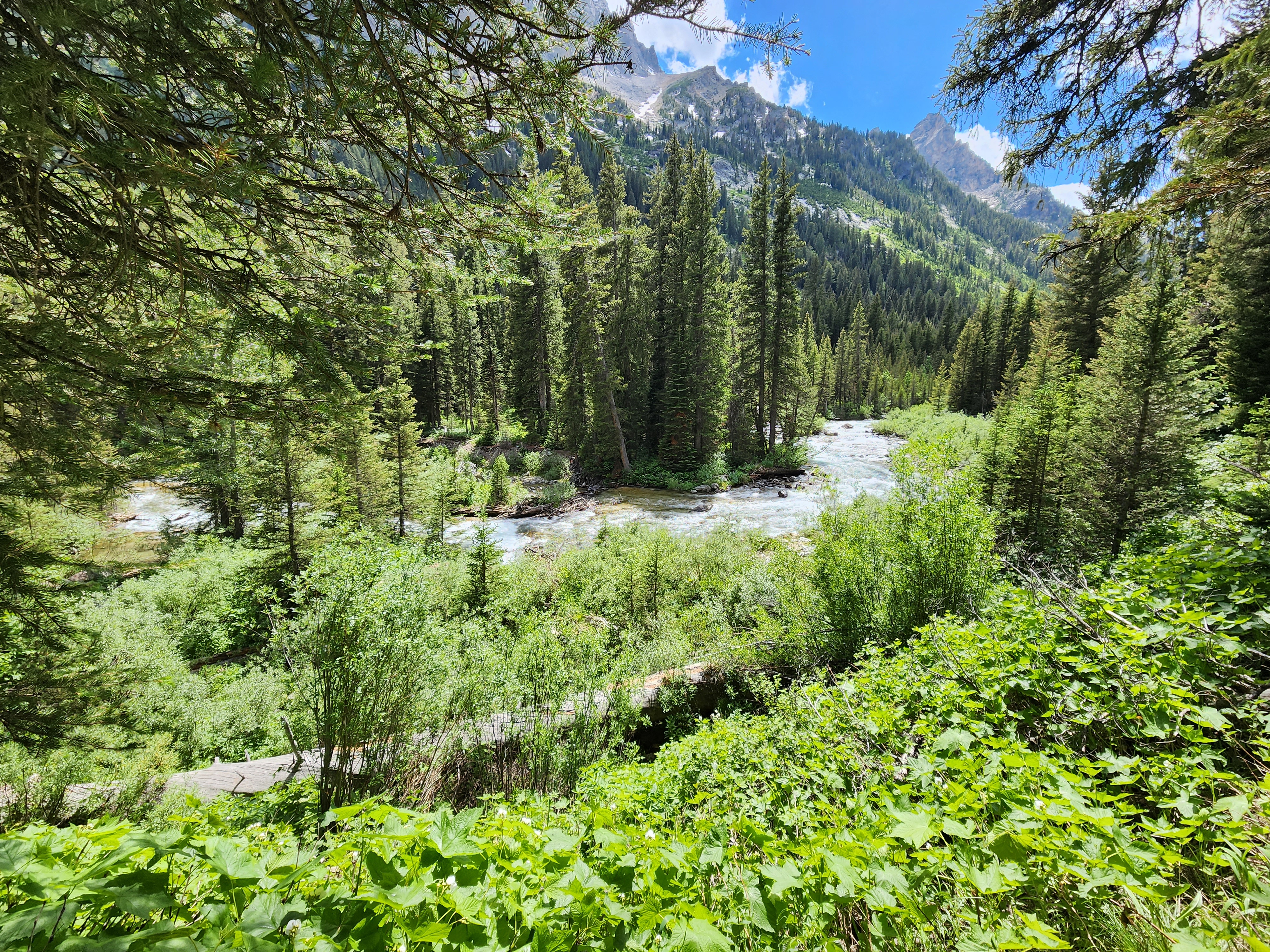 Cascade Canyon