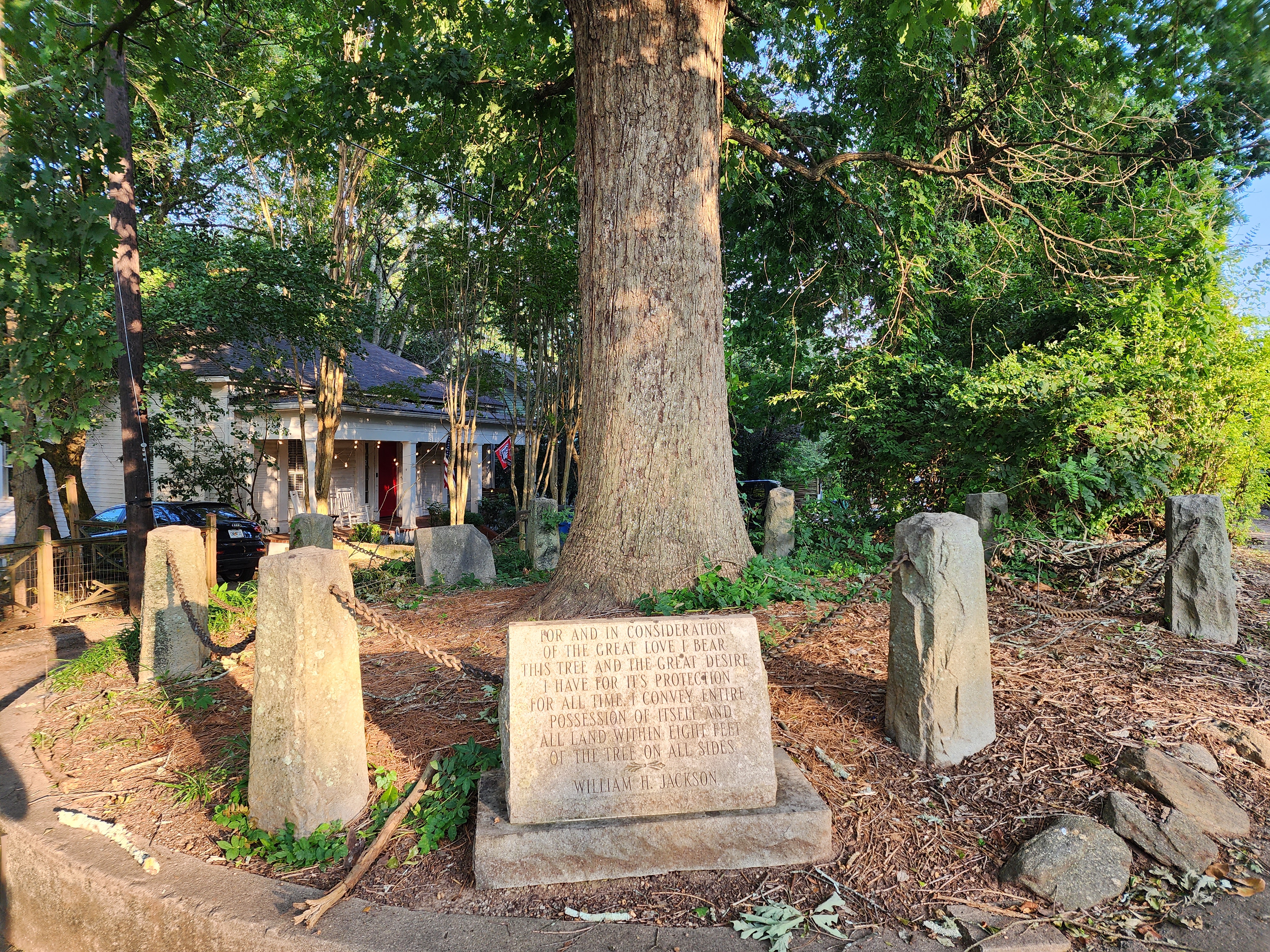 Tree That Owns Itself